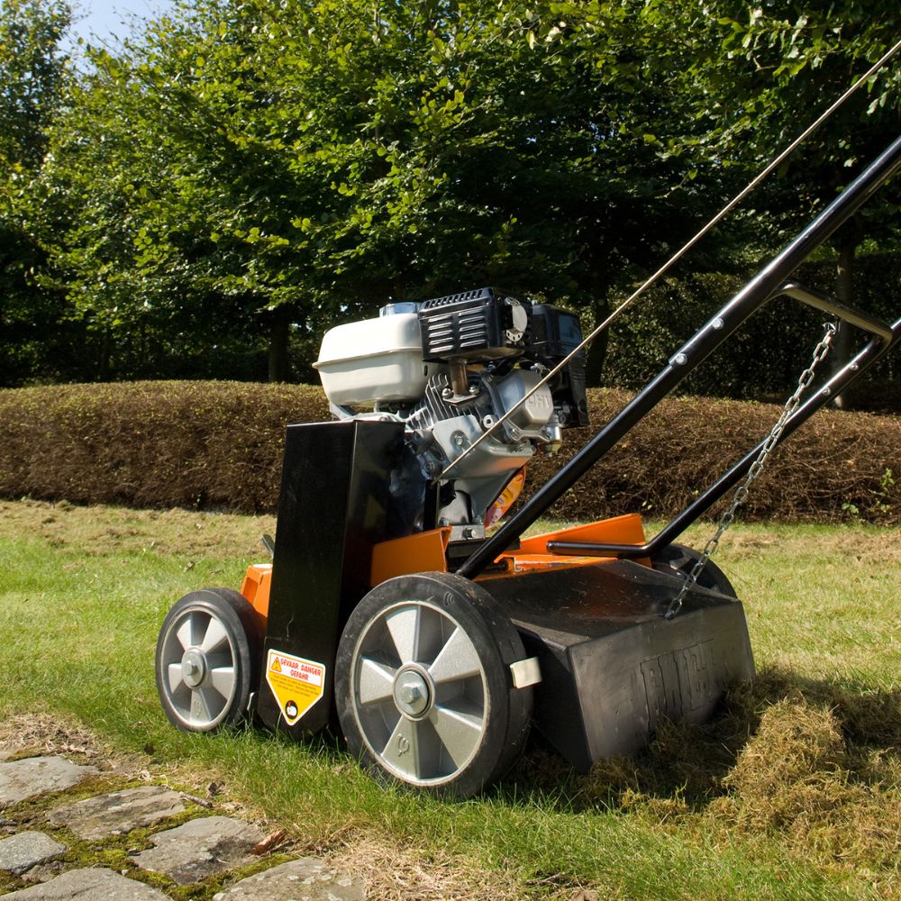 SCARIFICATEUR PRO E 501 DOUBLE CUT-2
